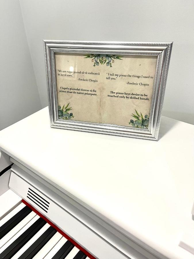 Am 13 Timişoara